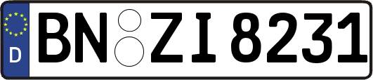 BN-ZI8231