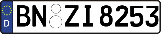 BN-ZI8253