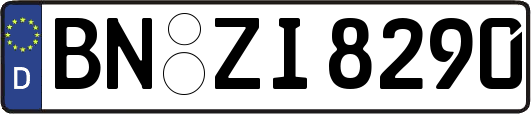 BN-ZI8290