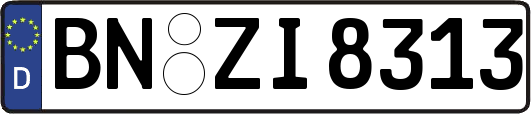 BN-ZI8313