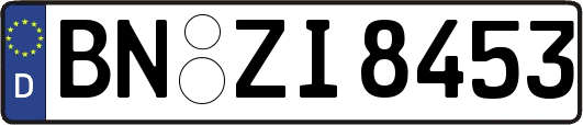 BN-ZI8453