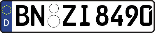 BN-ZI8490