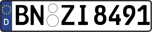 BN-ZI8491