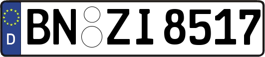 BN-ZI8517