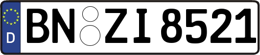 BN-ZI8521