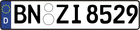 BN-ZI8529