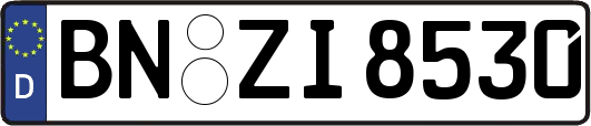 BN-ZI8530