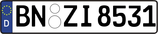 BN-ZI8531