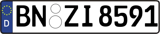 BN-ZI8591