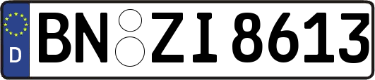 BN-ZI8613