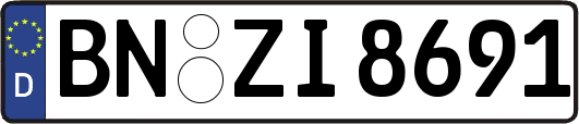 BN-ZI8691
