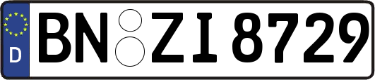 BN-ZI8729