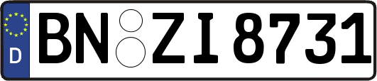 BN-ZI8731