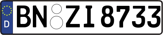 BN-ZI8733