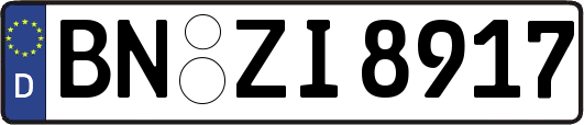 BN-ZI8917