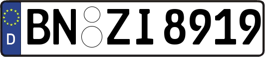 BN-ZI8919