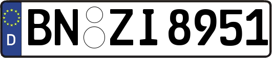 BN-ZI8951