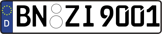 BN-ZI9001
