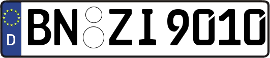 BN-ZI9010