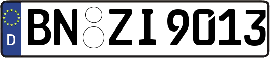BN-ZI9013