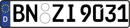 BN-ZI9031