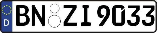 BN-ZI9033