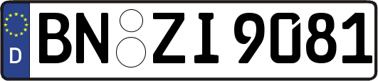 BN-ZI9081