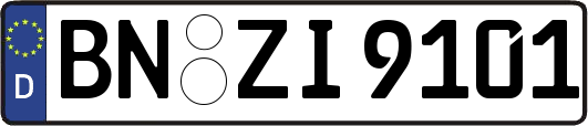 BN-ZI9101