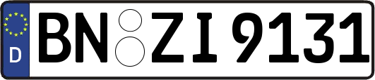 BN-ZI9131