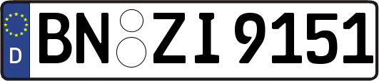 BN-ZI9151