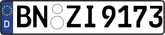 BN-ZI9173