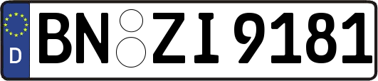BN-ZI9181