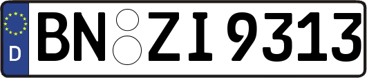 BN-ZI9313