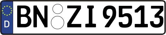 BN-ZI9513