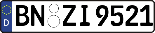 BN-ZI9521