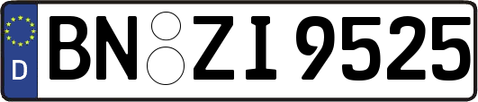BN-ZI9525