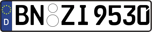 BN-ZI9530