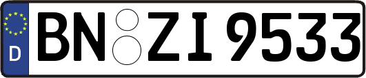 BN-ZI9533