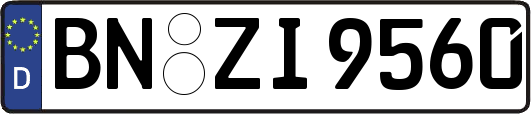 BN-ZI9560