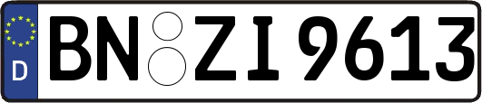 BN-ZI9613