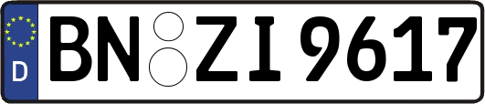BN-ZI9617