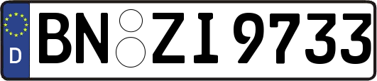 BN-ZI9733