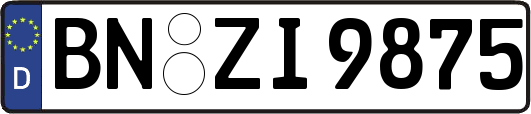 BN-ZI9875