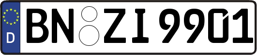 BN-ZI9901