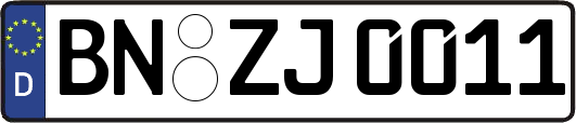 BN-ZJ0011