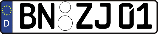 BN-ZJ01