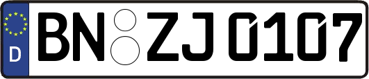 BN-ZJ0107