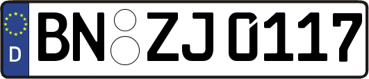 BN-ZJ0117