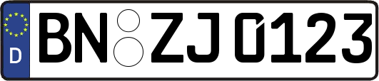 BN-ZJ0123