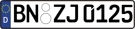 BN-ZJ0125